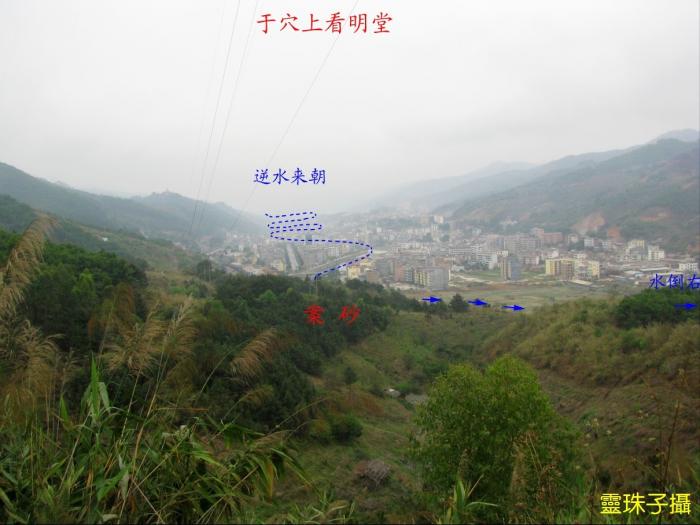 tu6.jpg