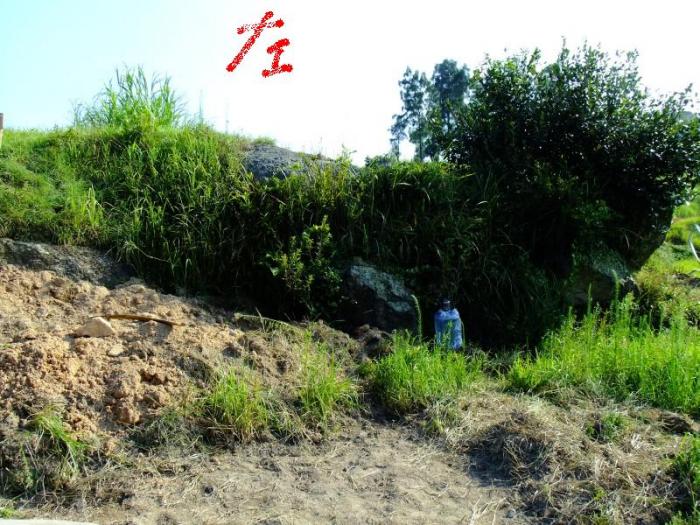 tu6.jpg