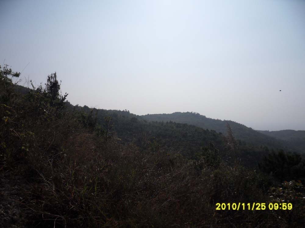 左