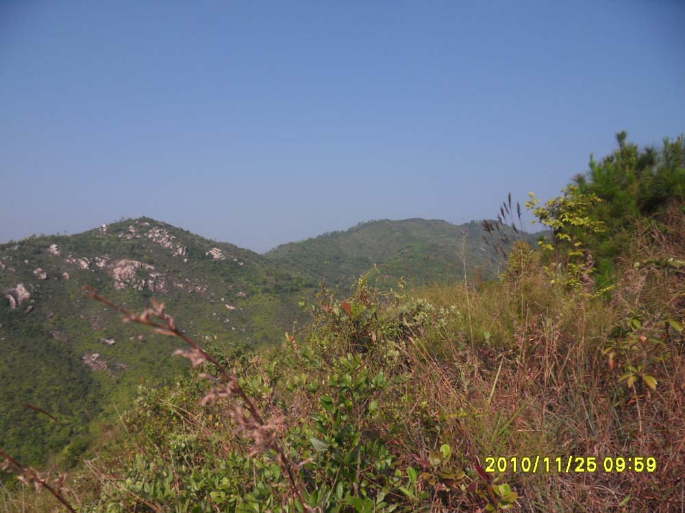 右后