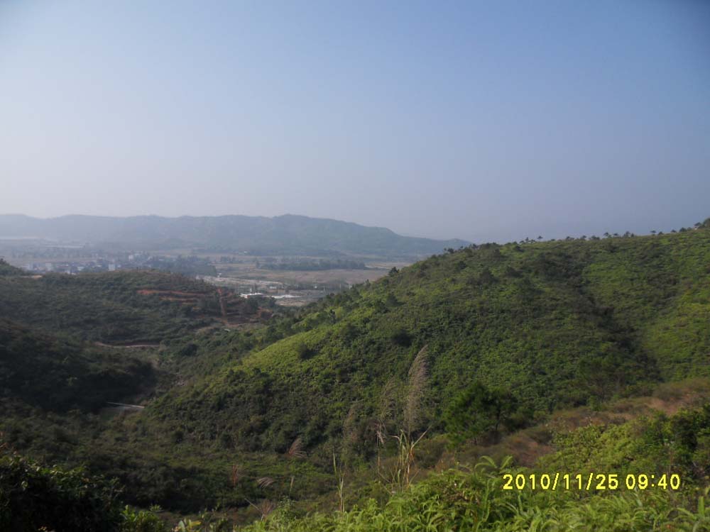 右前