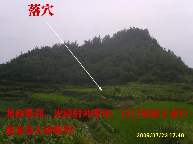 对面看落穴.jpg