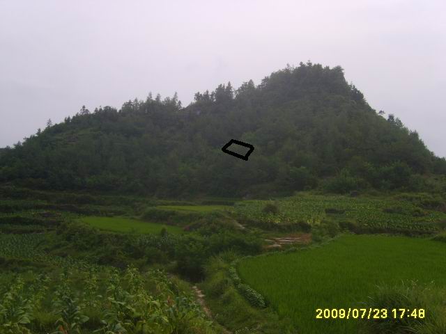 吴1.jpg