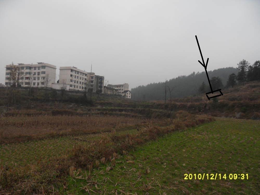 吴2.jpg