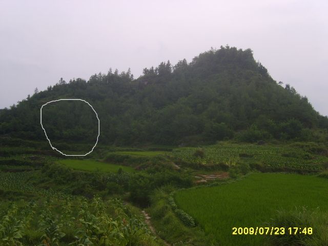 试一下