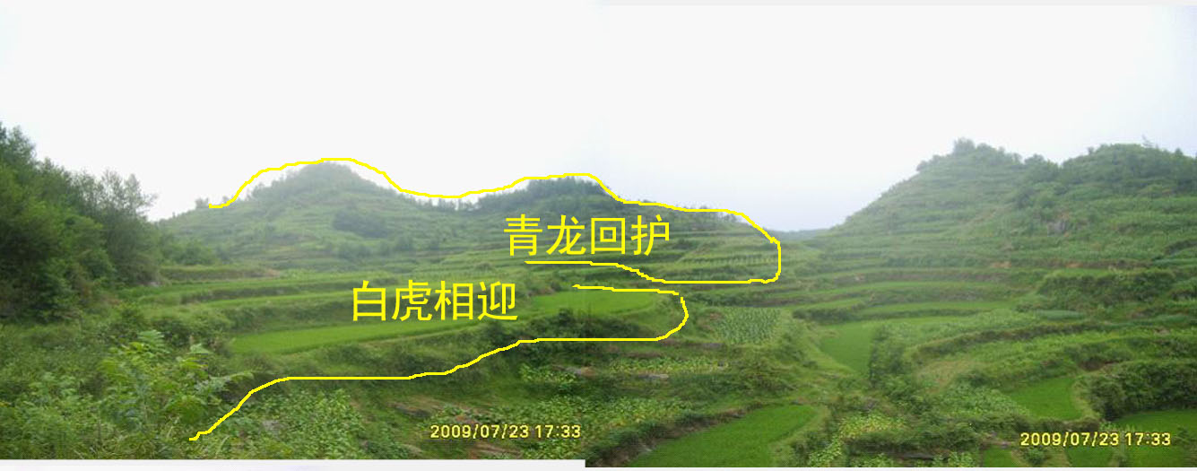 龙虎有情.jpg