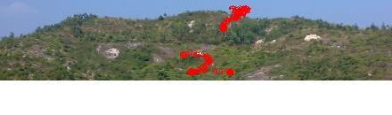 未命名.JPG
