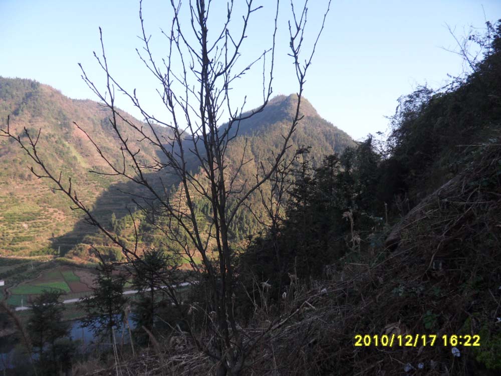 右尖峰在巽位