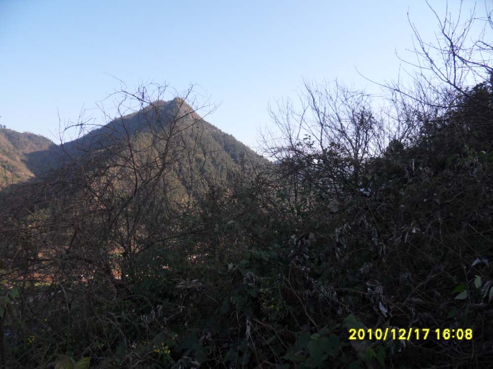 右虎来水尖峰在巽