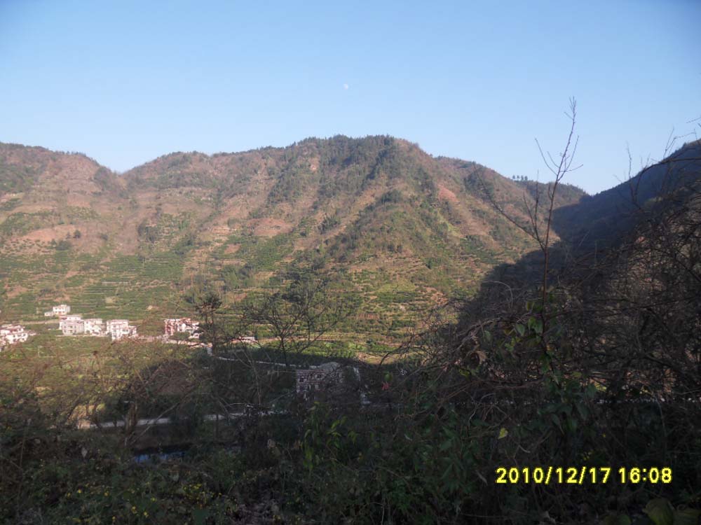 右虎及堂局图