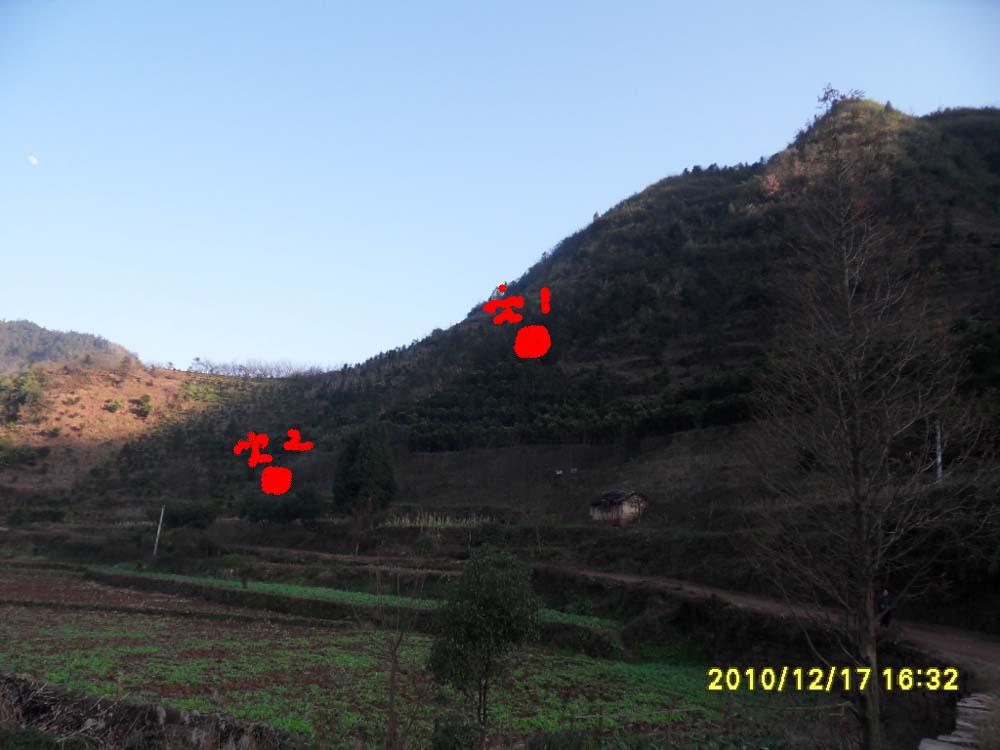 215953aozos942s00100s3.jpg