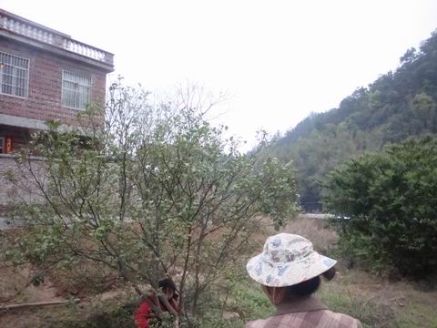 左后1.JPG