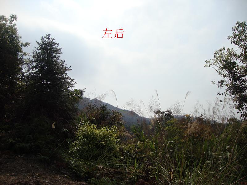 DSC00553.JPG