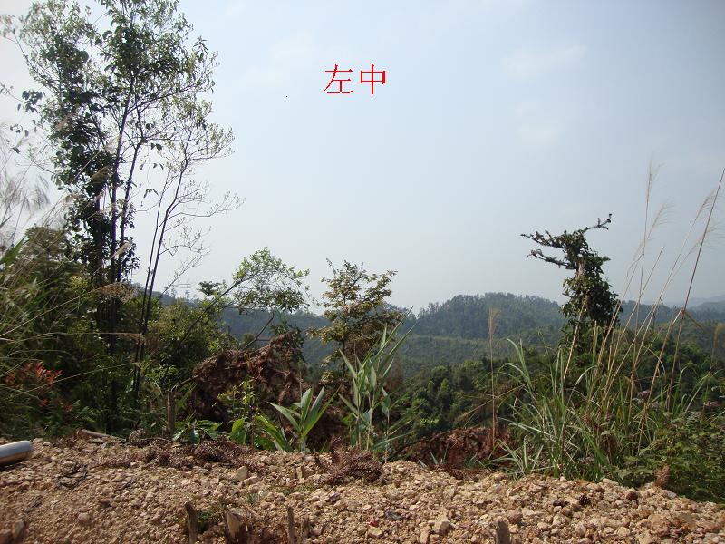 DSC00554.JPG