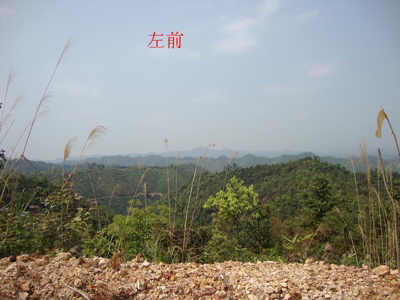 DSC00555.JPG