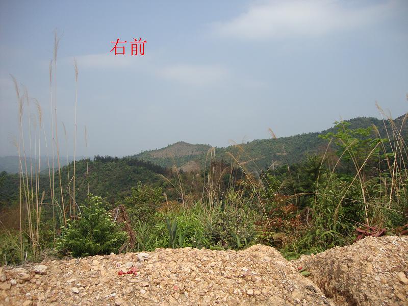 DSC00557.JPG
