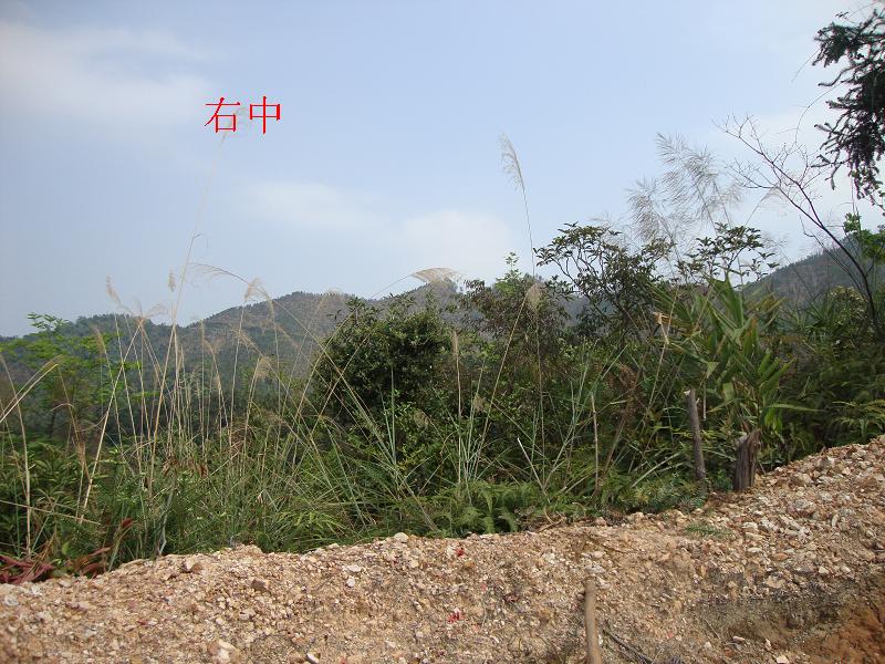 DSC00558.JPG
