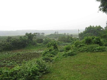 右三