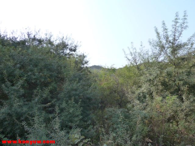 照片 038.jpg