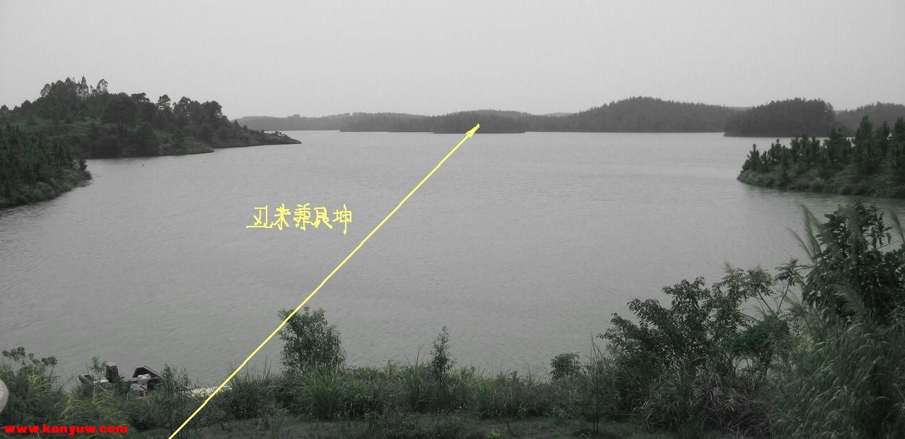朝向