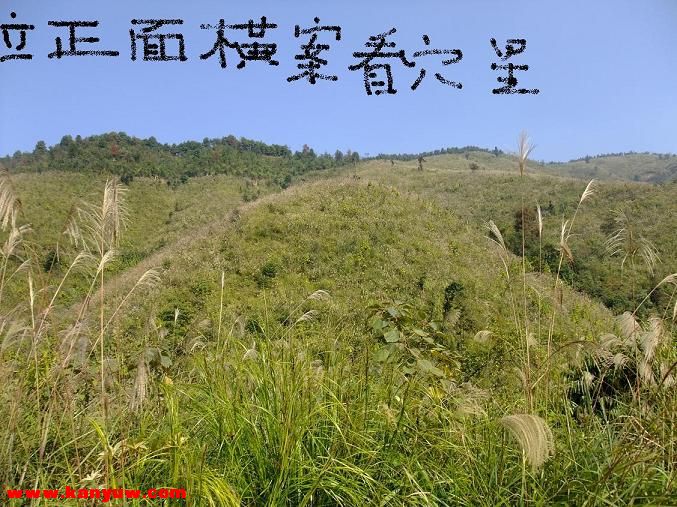 复件 DSCF3137.JPG