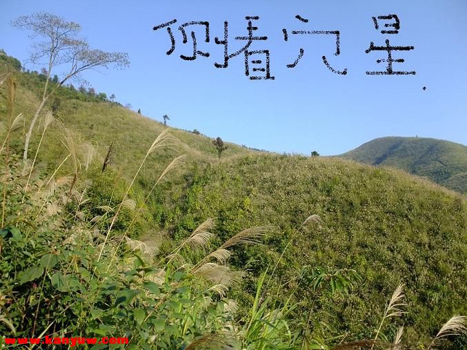 复件 复件 DSCF3179.JPG