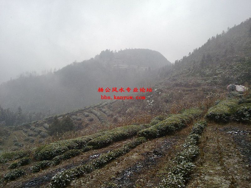 穴左外对穴