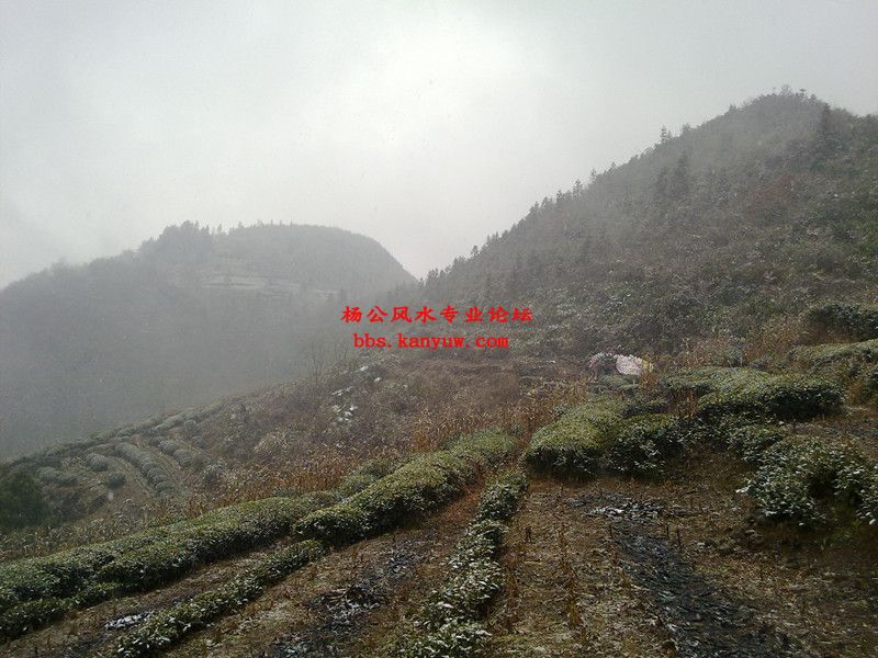 外多穴看_副本.jpg