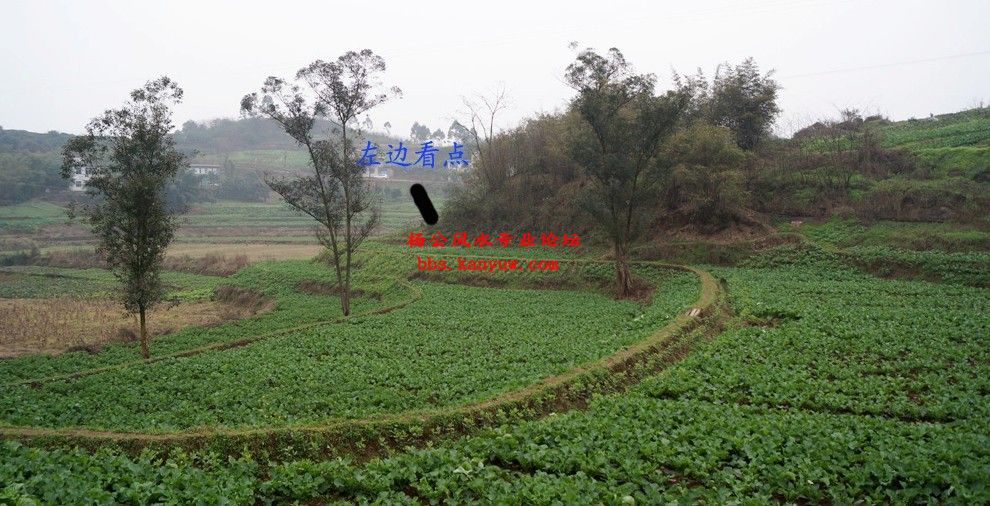 左边看看2.jpg