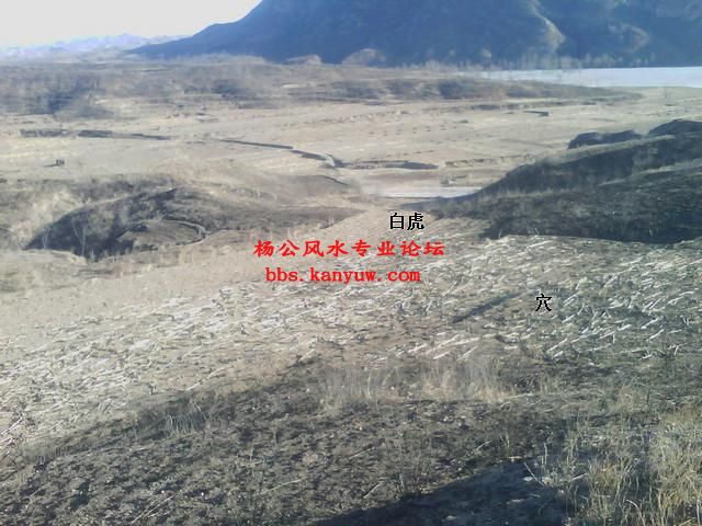 手机摄像_0165.jpg