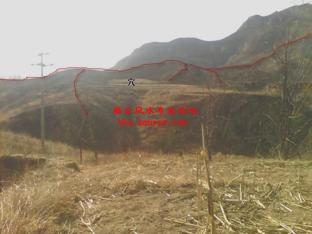 手机摄像_0185.jpg