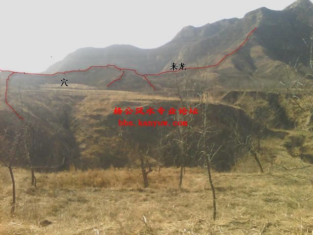 手机摄像_0186.jpg