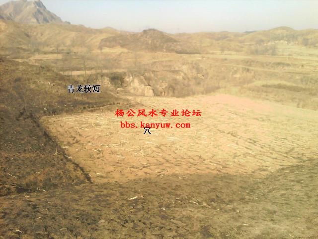 手机摄像_0193.jpg