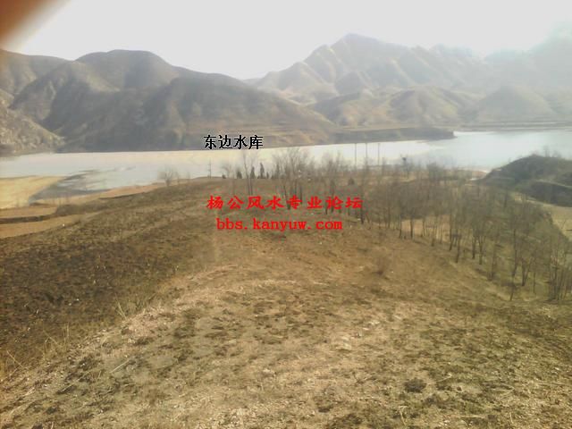 手机摄像_0201.jpg