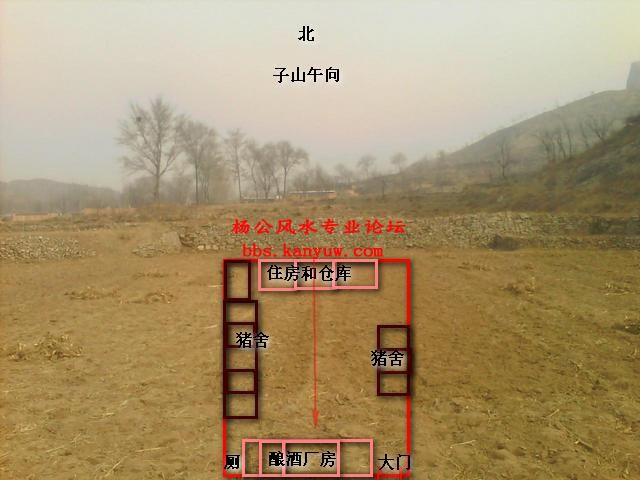 手机摄像_0205.jpg