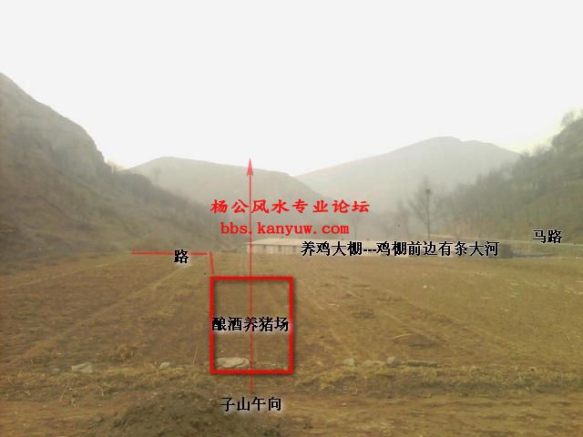 手机摄像_0204.jpg