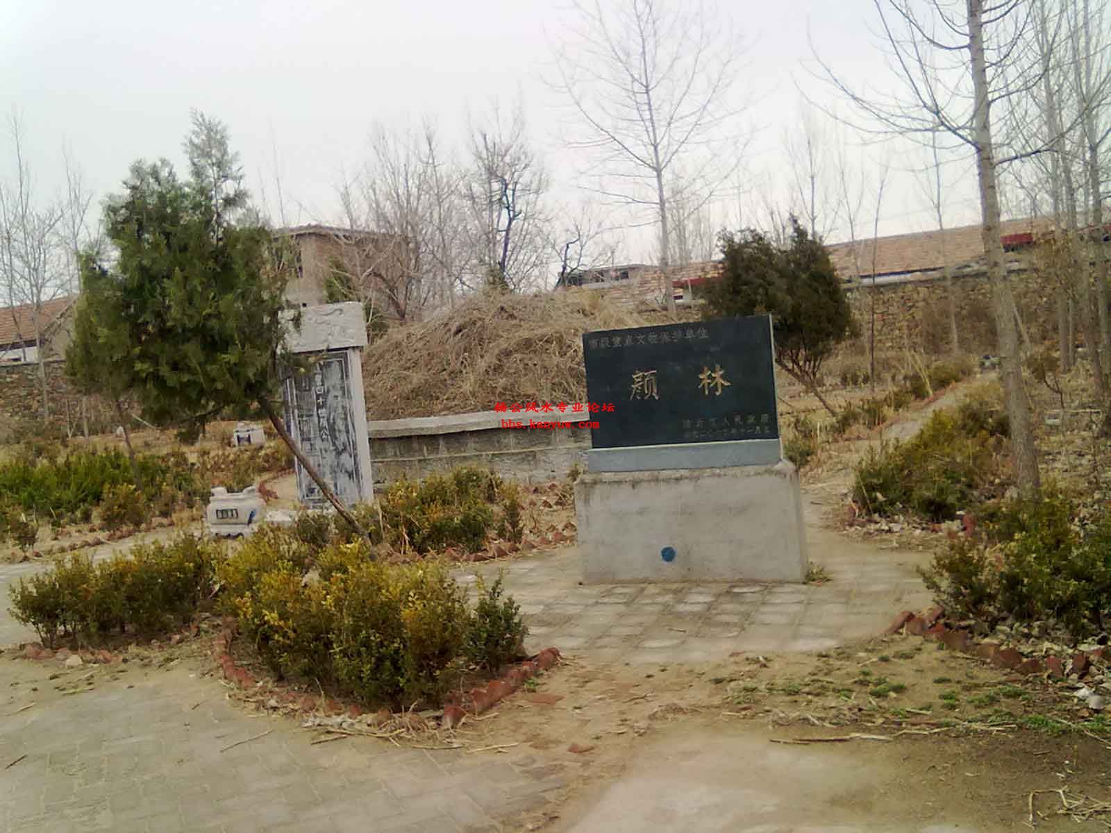 颜林.jpg