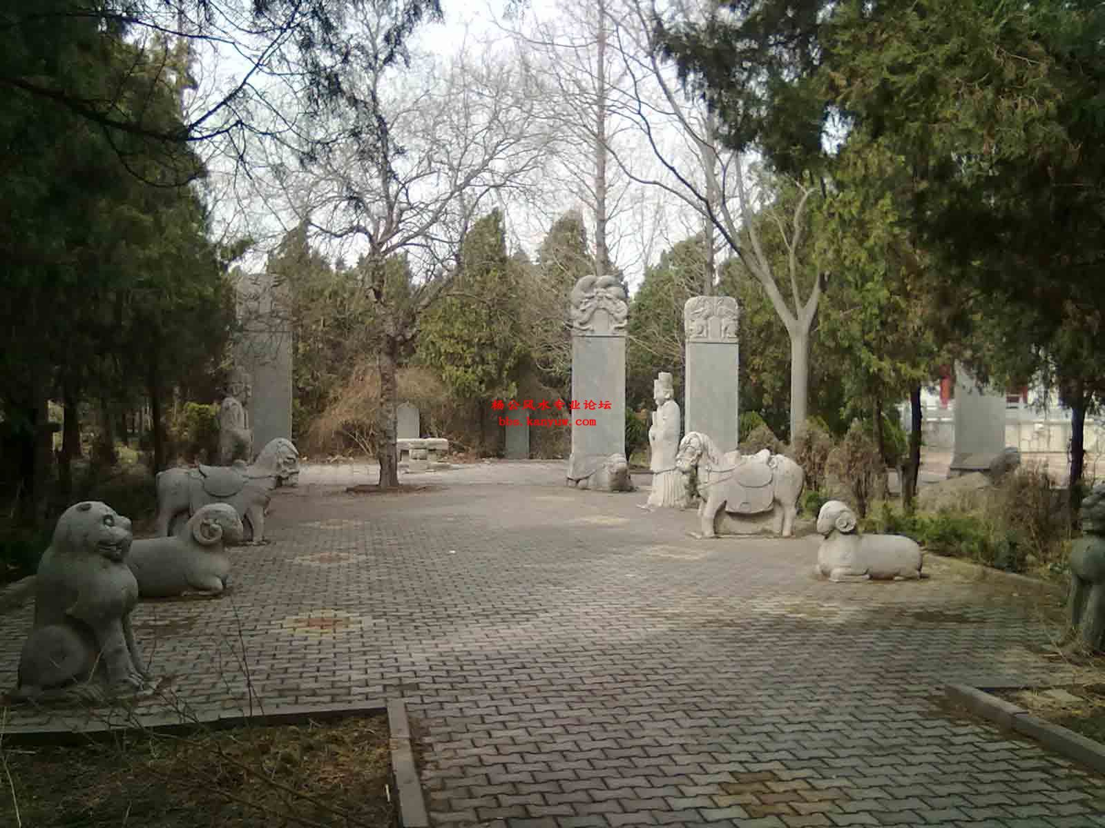 王璟.jpg