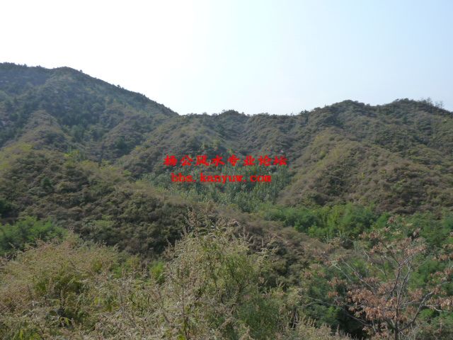 照片 061.jpg