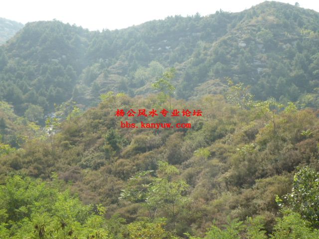 照片 064.jpg