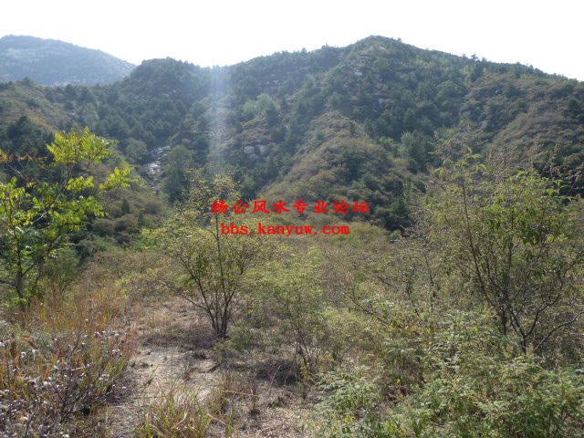 照片 070.jpg