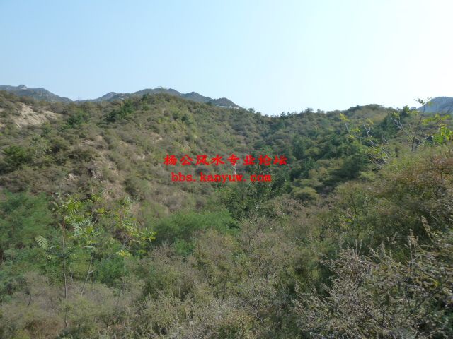 照片 065.jpg