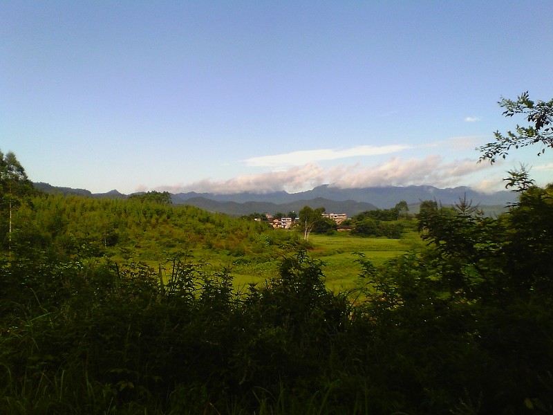 左青龙1.jpg