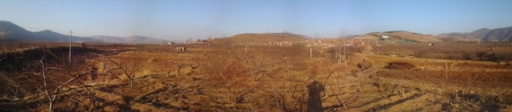 后.jpg