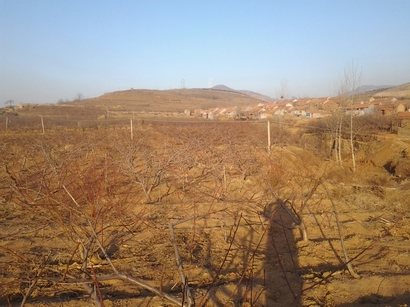 后1.jpg