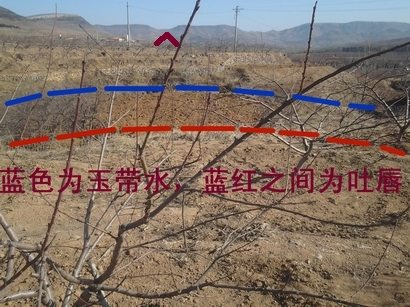 前1.jpg