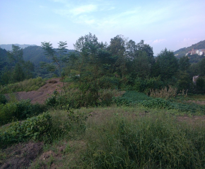 conew_img20140910172351.jpg