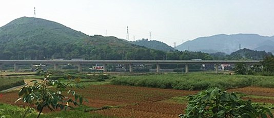 青龙