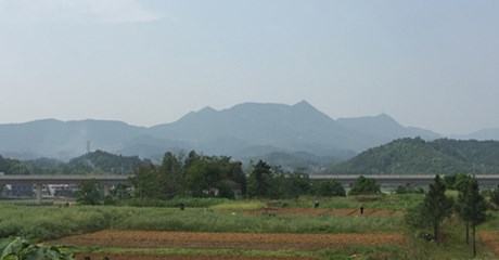 朝