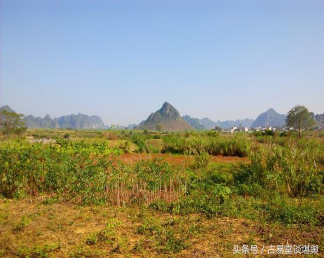 conew_图片5.jpg